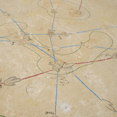© AuBoutTunnel2.jpg