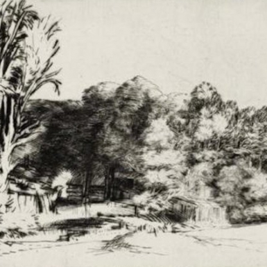 © Rembrandt Rembrandt.jpg