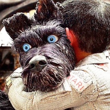 © IleChiens1.jpg