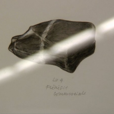 © JPZ6.jpg
