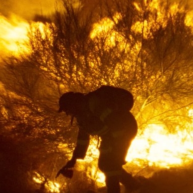 © FIRE3.jpg